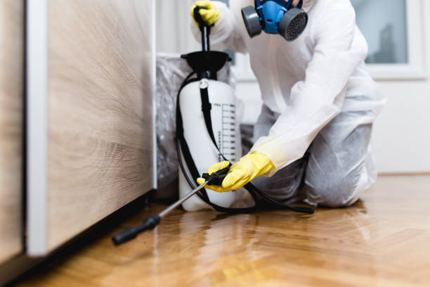 Trusted Montpelier, ID Pest Control Experts
