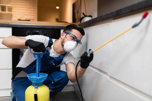 Best Wildlife Control Services  in Montpelier, ID