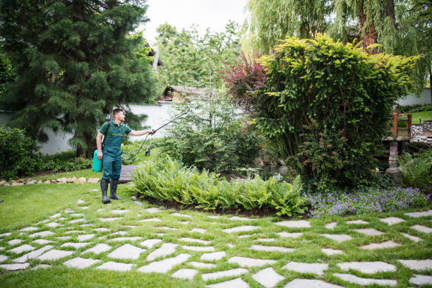 Best Residential Pest Control  in Montpelier, ID