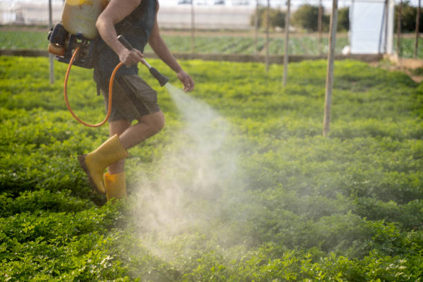 Best Affordable Pest Control Services  in Montpelier, ID