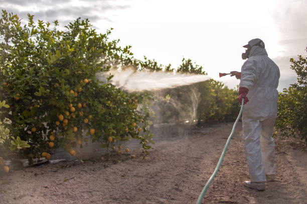 Pest Control Cost in Montpelier, ID