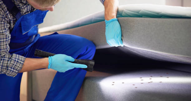 Best Best Pest Control Companies  in Montpelier, ID