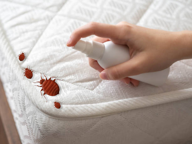Best Local Pest Control Services  in Montpelier, ID