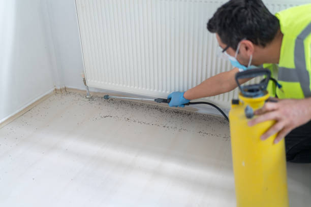 Best Pest Control Cost  in Montpelier, ID