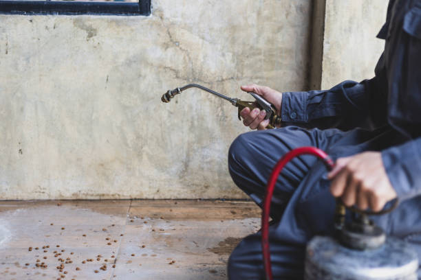 Best Pest Prevention Services  in Montpelier, ID
