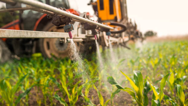 Best Commercial Pest Control Services  in Montpelier, ID